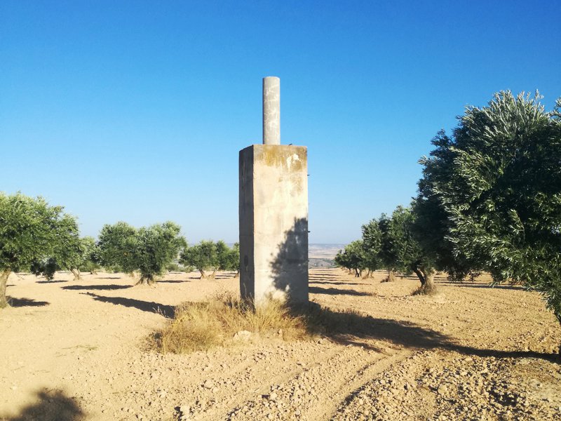 Cartografía y Proyectos