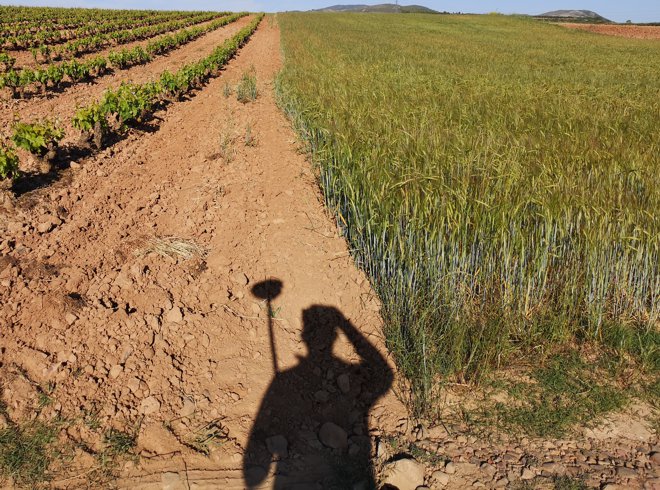 - ITC Vértice - Delimitación de la propiedad Sombra con topografo con estación teodolito